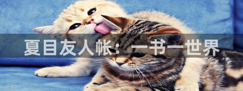 喵趣链接：夏目友人帐：一书一世界