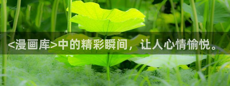 喵趣漫画的平替是什么漫画