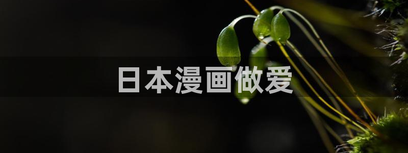 喵趣免费：日本漫画做爱
