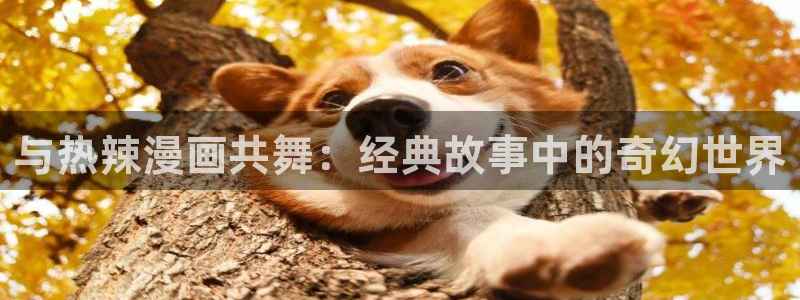 喵趣正版：与热辣漫画共舞：经典故事中的奇幻世界