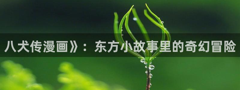喵趣.