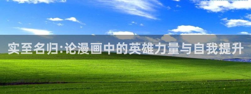 漫画里的罗康林漫画在线观看喵趣：实至名归:论漫画中的英雄力量与自我提升