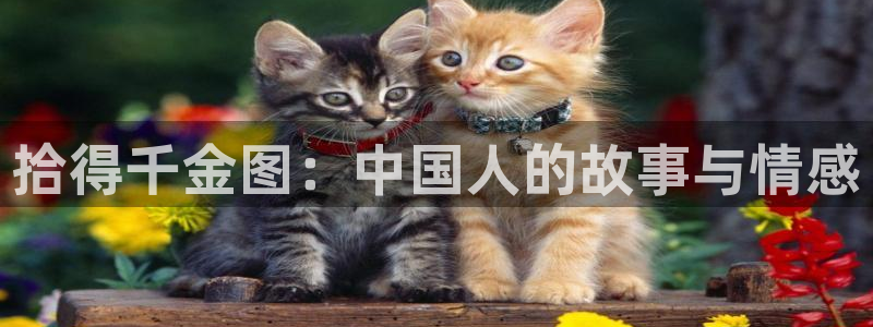 喵趣漫画入口免费阅读：拾得千金图：中国人的故事与情感