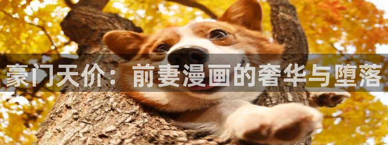 喵趣top官网：豪门天价：前妻漫画的奢华与堕落