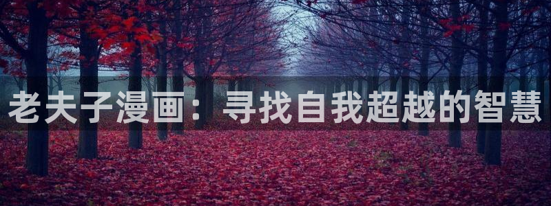 喵趣漫画下载最新版本：老夫子漫画：寻找自我超越的智慧