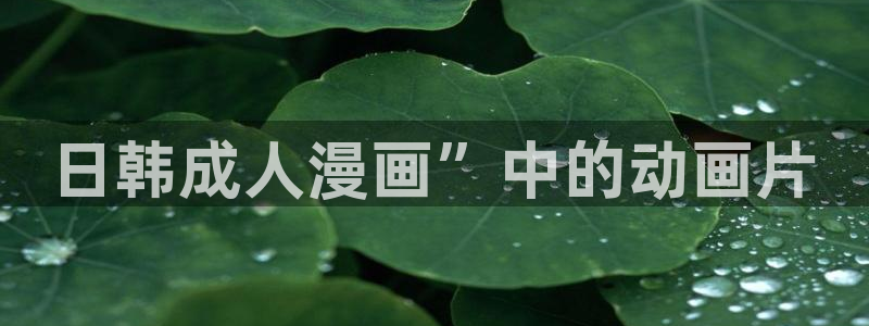 是喵趣漫画：日韩成人漫画”中的动画片