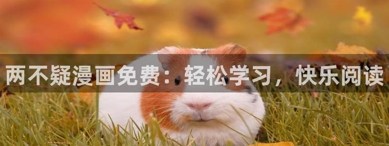 喵趣漫画免广告：两不疑漫画免费：轻松学习，快乐阅读