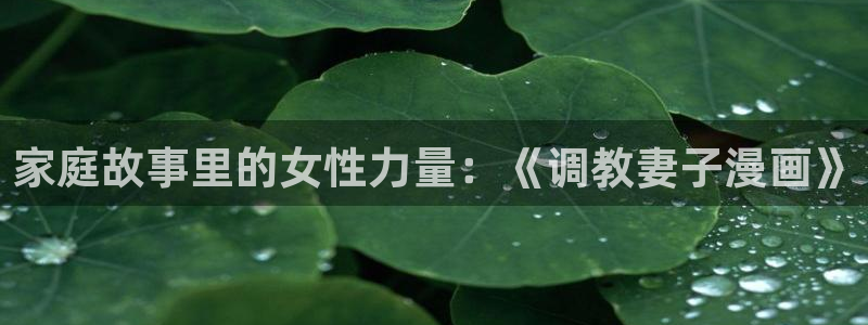 喵趣漫画复活版：家庭故事里的女性力量：《调教妻子漫画》