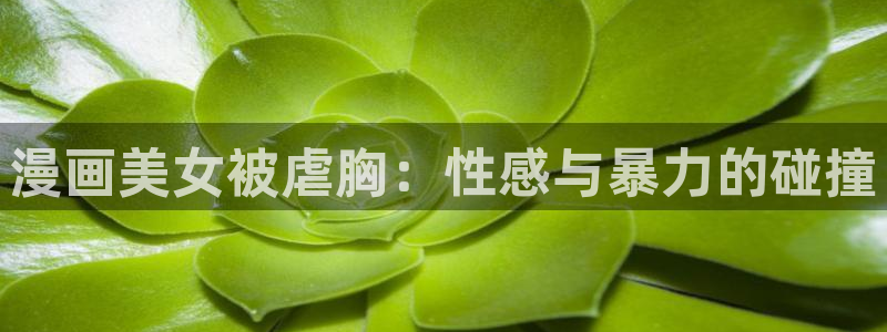喵趣漫画app官网入口下载：漫画美女被虐胸：性感与暴力的碰撞