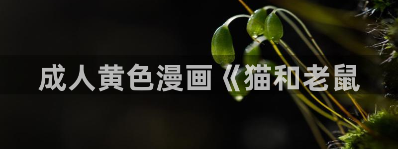 喵趣免费漫画：成人黄色漫画《猫和老鼠
