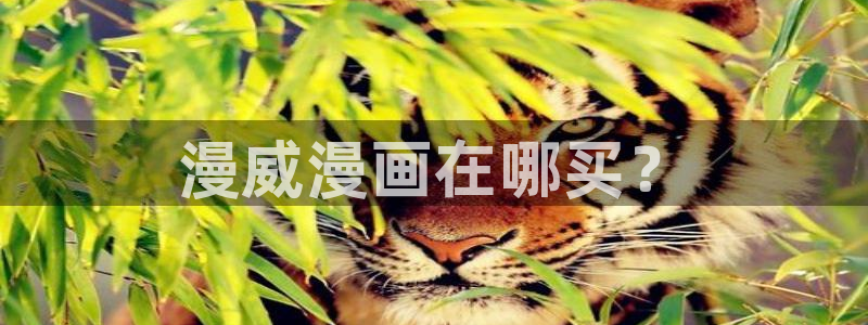 www.喵趣.top：漫威漫画在哪买？