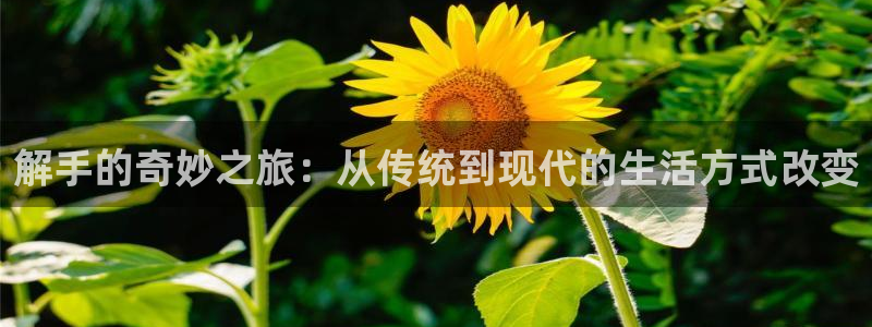 喵趣漫画链接：解手的奇妙之旅：从传统到现代的生活方式改变
