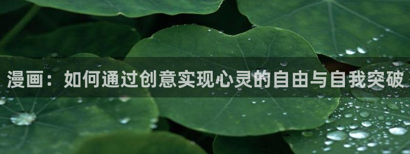 喵趣猫粮好不好：漫画：如何通过创意实现心灵的自由与自我突破