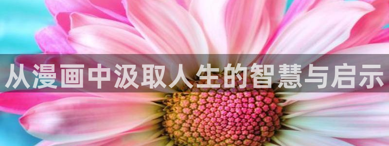 喵趣漫画为什么打不开：从漫画中汲取人生的智慧与启示