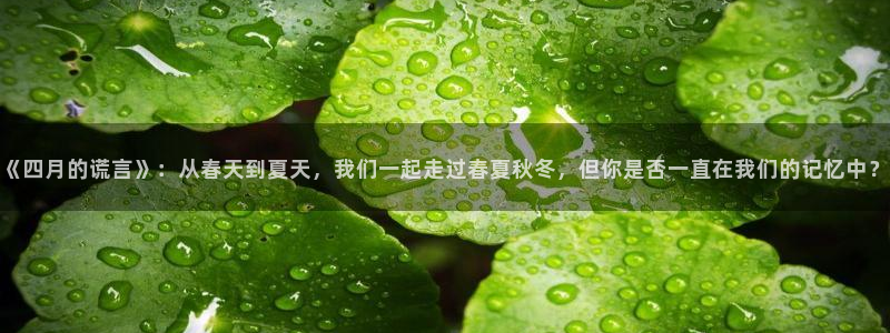喵趣回归：《四月的谎言》：从春天到夏天，我们一起走过春夏秋冬，但你是否一直在我们的记忆中？