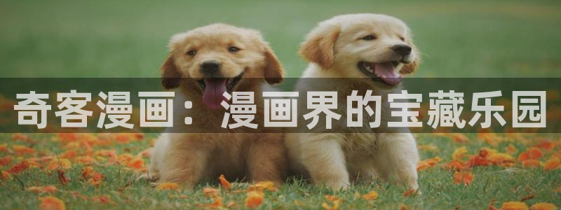 www. 喵趣.top：奇客漫画：漫画界的宝藏乐园