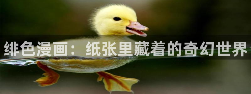 有喵趣：绯色漫画：纸张里藏着的奇幻世界